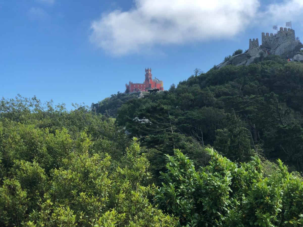 Luxurious Royal Estate In Historic Sintra Paradise Exterior photo
