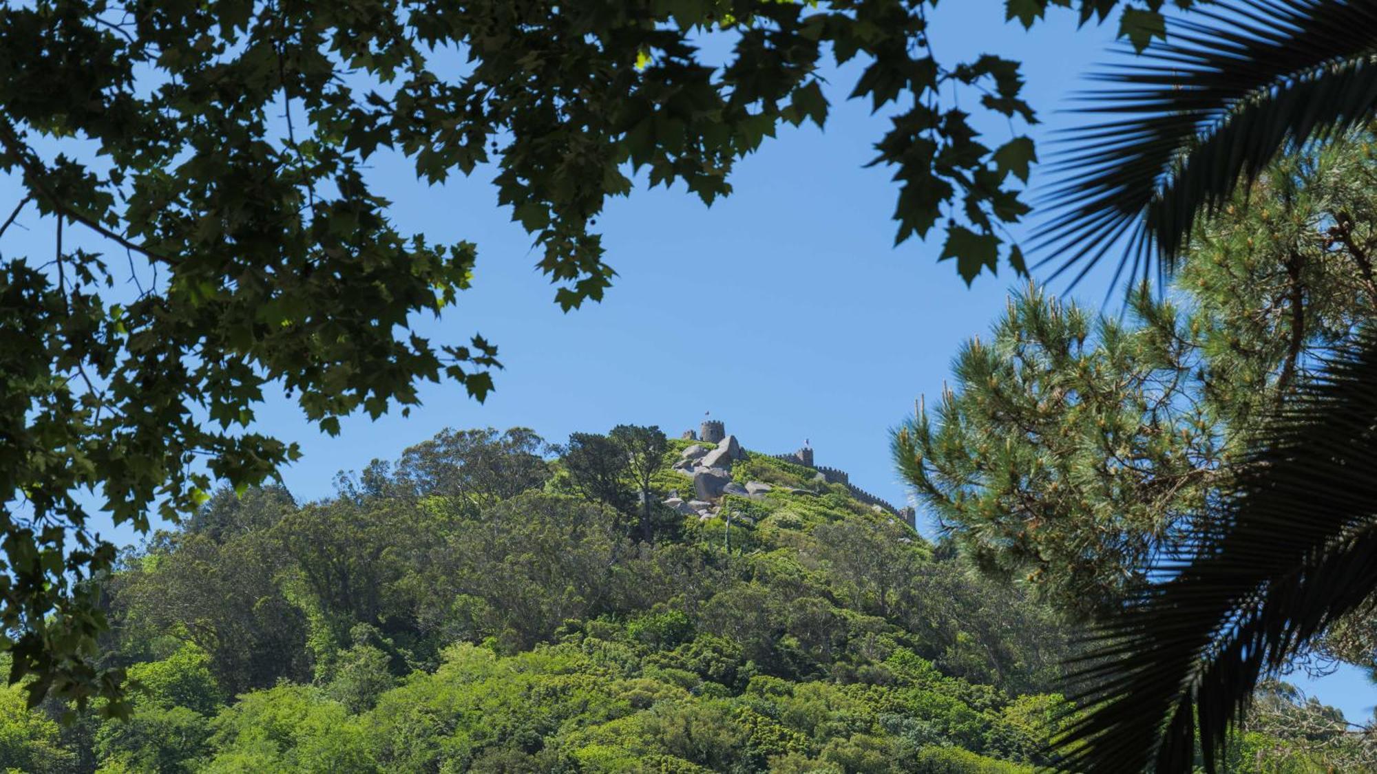 Luxurious Royal Estate In Historic Sintra Paradise Exterior photo